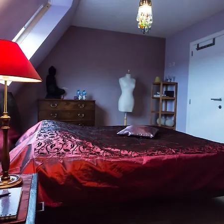 Duinenzicht Ii Apartment